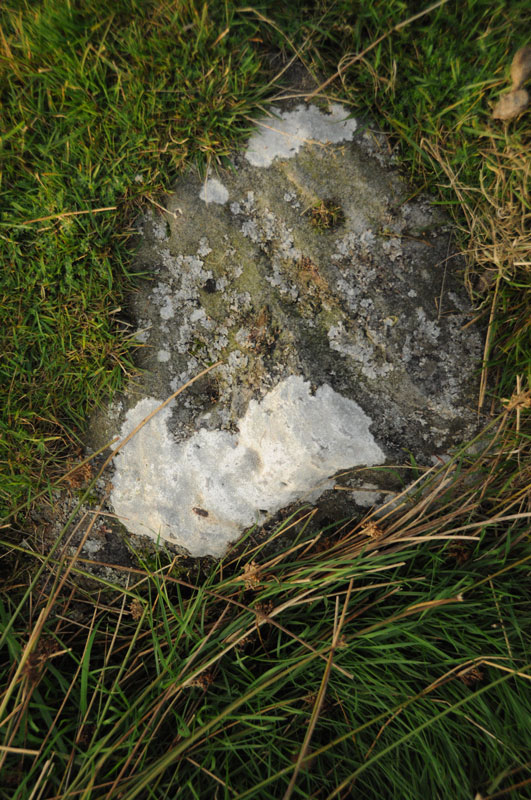 Goatstones O, Northumberland | Megalithic Portal