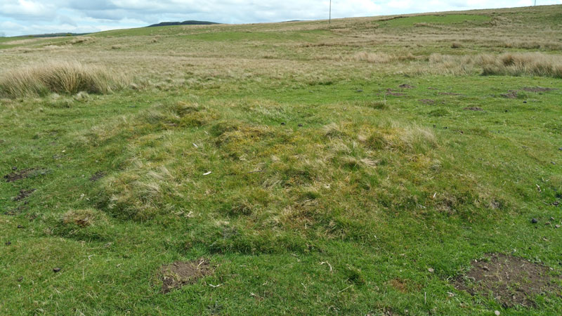 Click for the gallery page to add comments and vote (PID:149662) Ventner's Hall Cairn (1)