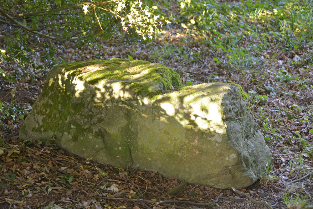 Percy's Leap (Beanley)