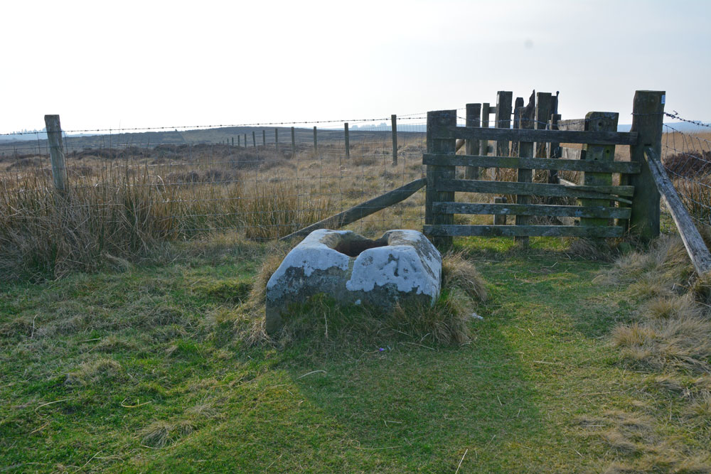 Click for the gallery page to add comments and vote (PID:193887) Steng Cross and Winter's Gibbet (Elsdon)