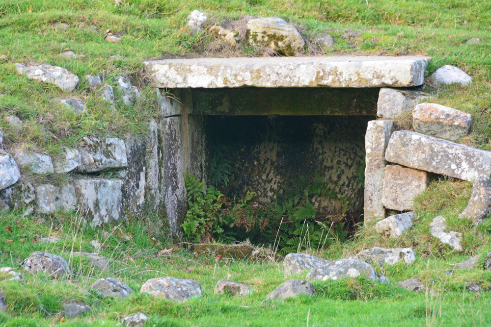 Jemmy's Well (Cambo)