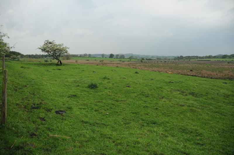 Click for the gallery page to add comments and vote (PID:120376) Bow Bridge Homestead