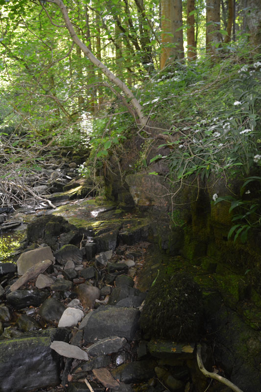 Click for the gallery page to add comments and vote (PID:166073) St. Mungo's Well (Simonburn)