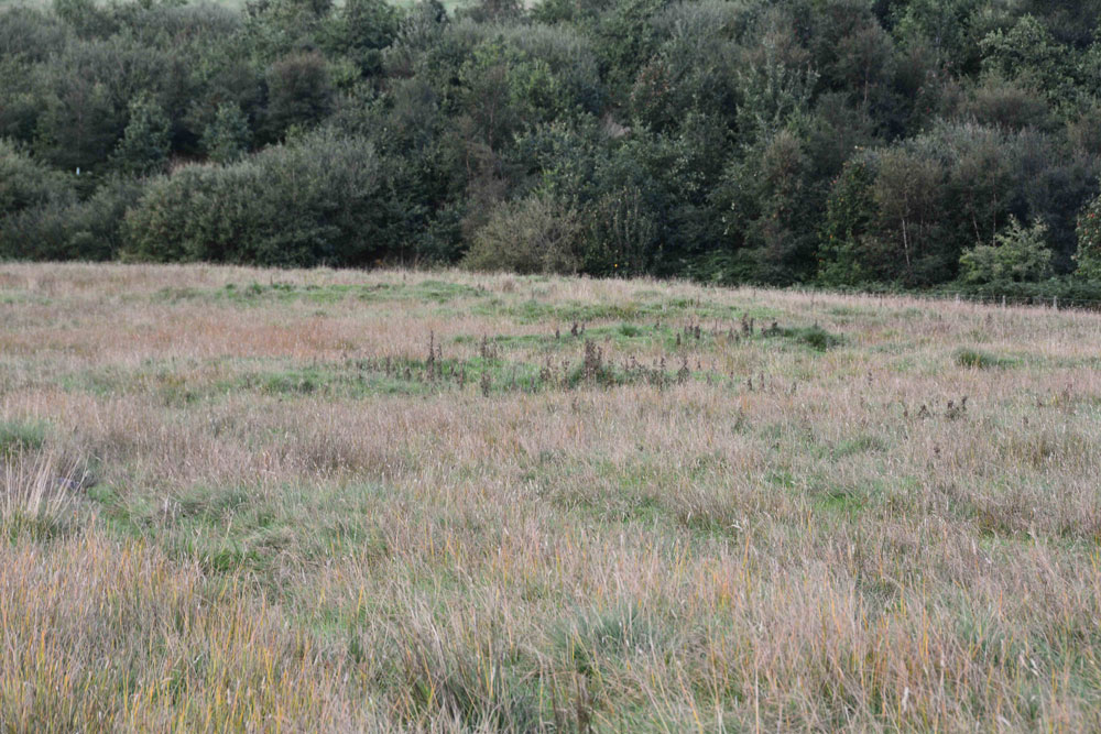 Click for the gallery page to add comments and vote (PID:169846) Elsdonburn Shank Shielings (Kilham)