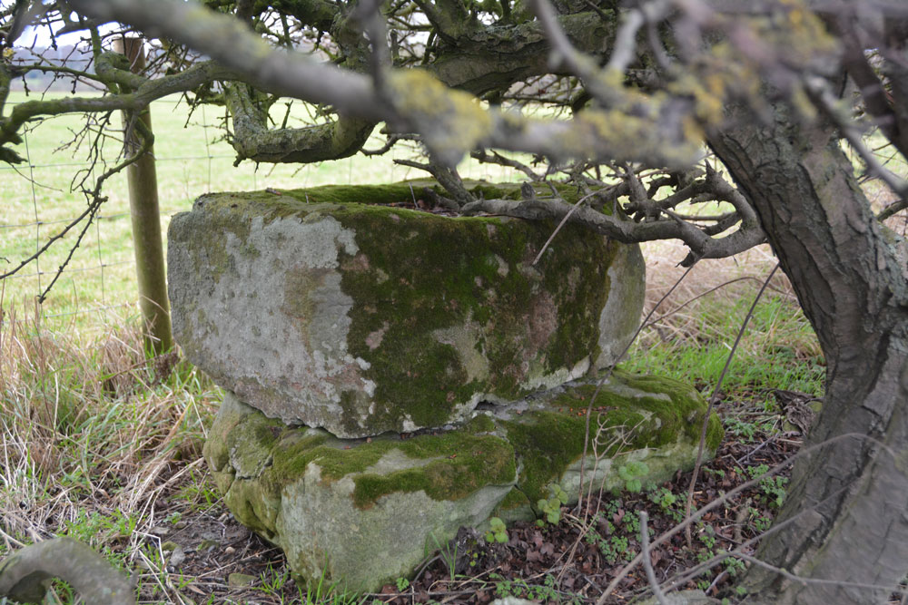 Click for the gallery page to add comments and vote (PID:192672) Acomb Sanctuary Cross