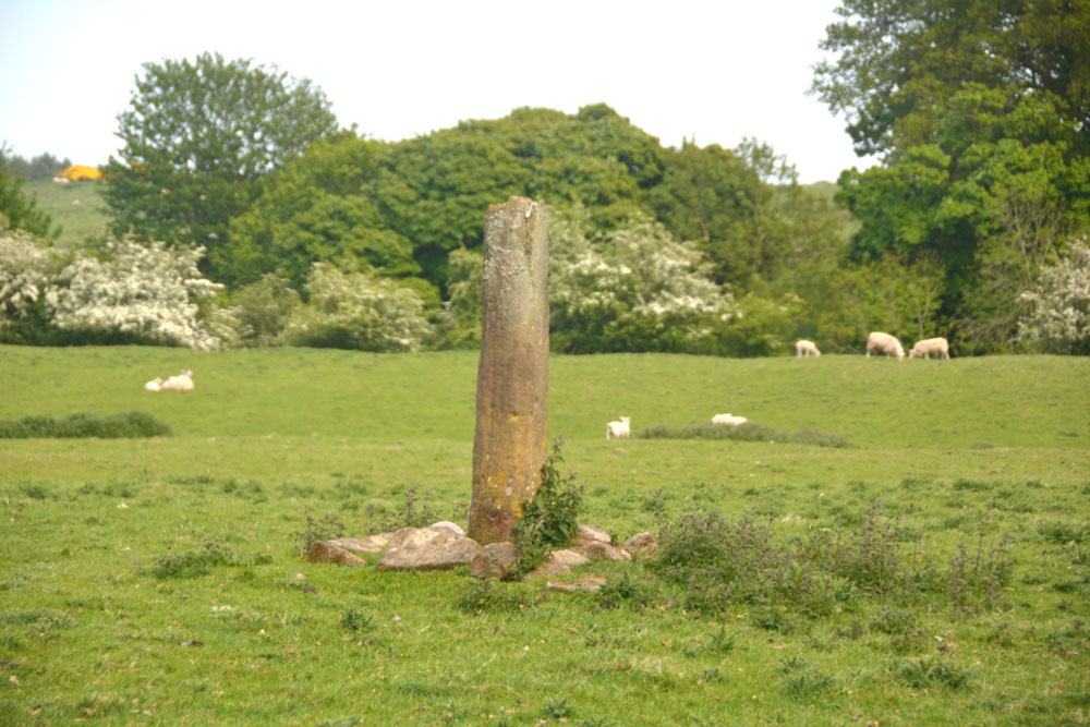 Click for the gallery page to add comments and vote (PID:182040) Clavering's Cross