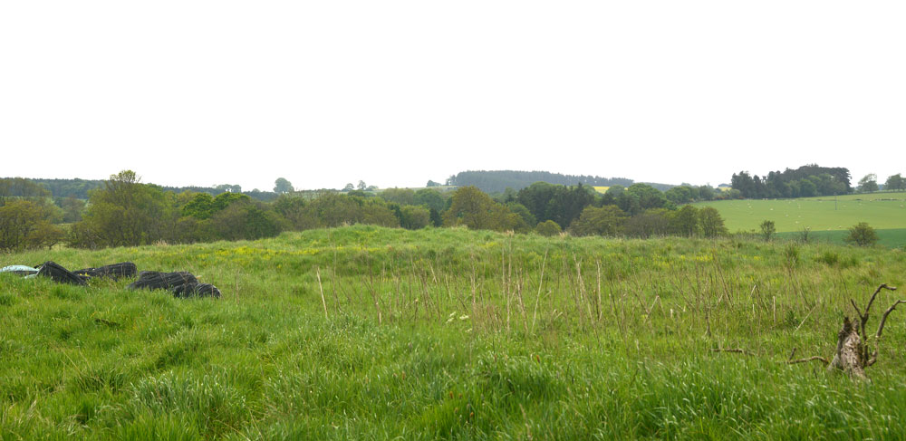 Click for the gallery page to add comments and vote (PID:182010) Five Ashes Cairn (Netherwitton)