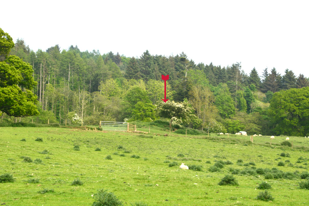 Netherwitton B, Northumberland | Megalithic Portal