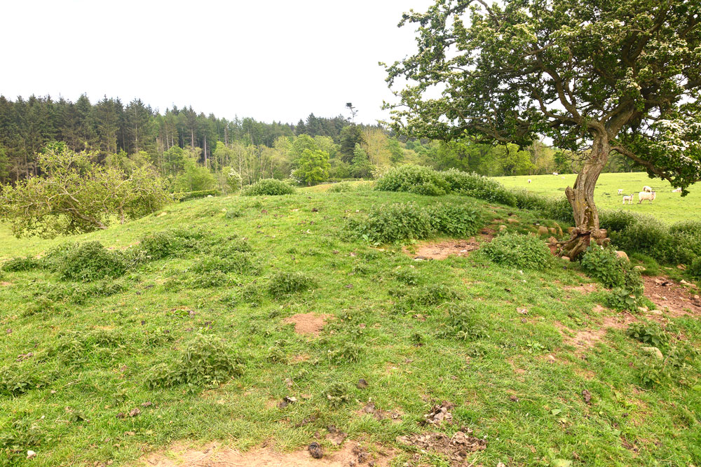 Netherwitton B, Northumberland | Megalithic Portal