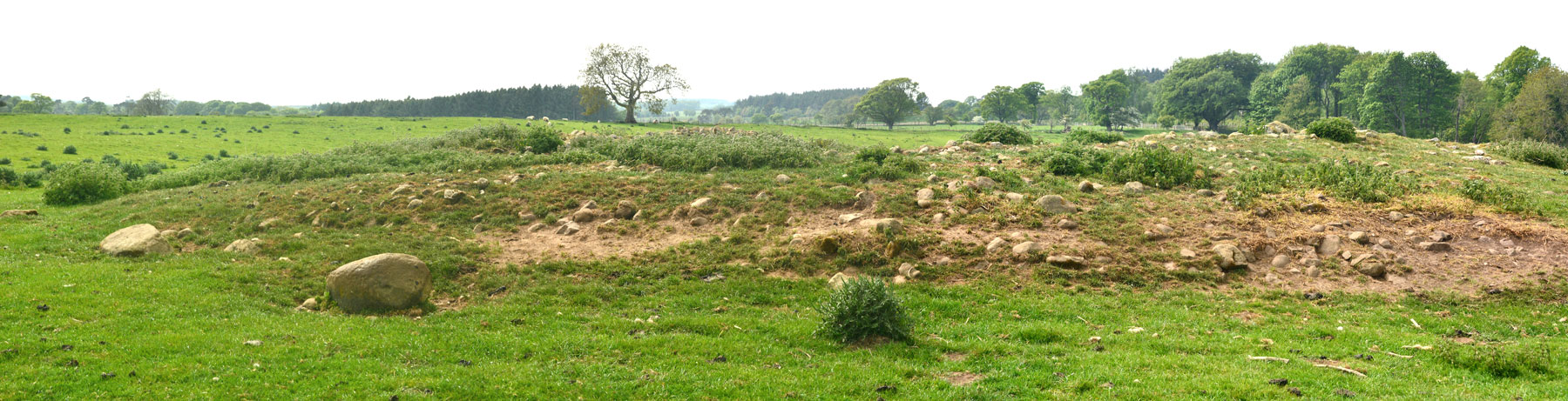 Click for the gallery page to add comments and vote (PID:182060) Netherwitton A