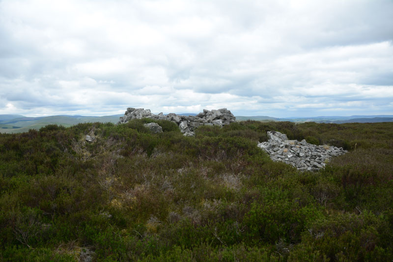 Ridlees Cairn