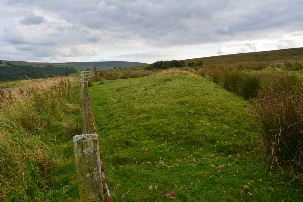 Click for the gallery page to add comments and vote (PID:170069) Coanwood (Lambley)