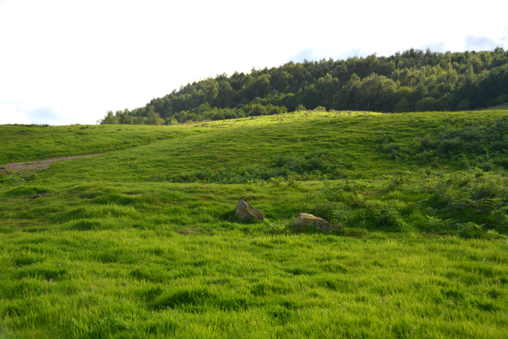 Click for the gallery page to add comments and vote (PID:168671) Carey Burn (Harthope Valley)