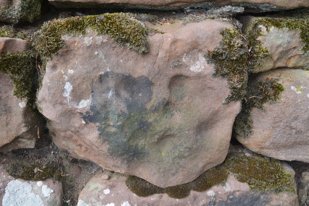 Click for the gallery page to add comments and vote (PID:198508) Alnmouth Wall Rock 16