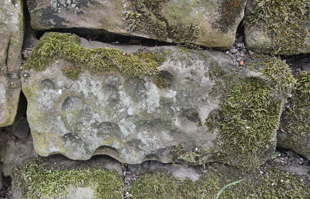 Click for the gallery page to add comments and vote (PID:198484) Alnmouth Wall Rock 32