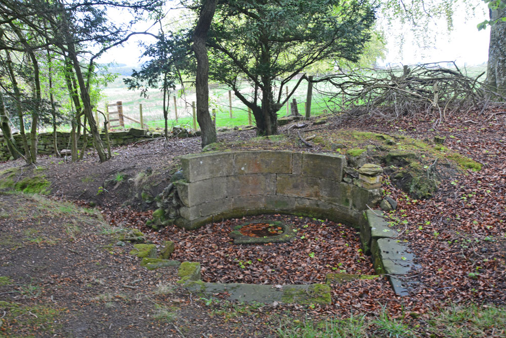 Click for the gallery page to add comments and vote (PID:196983) St George's Well (Minsteracres)