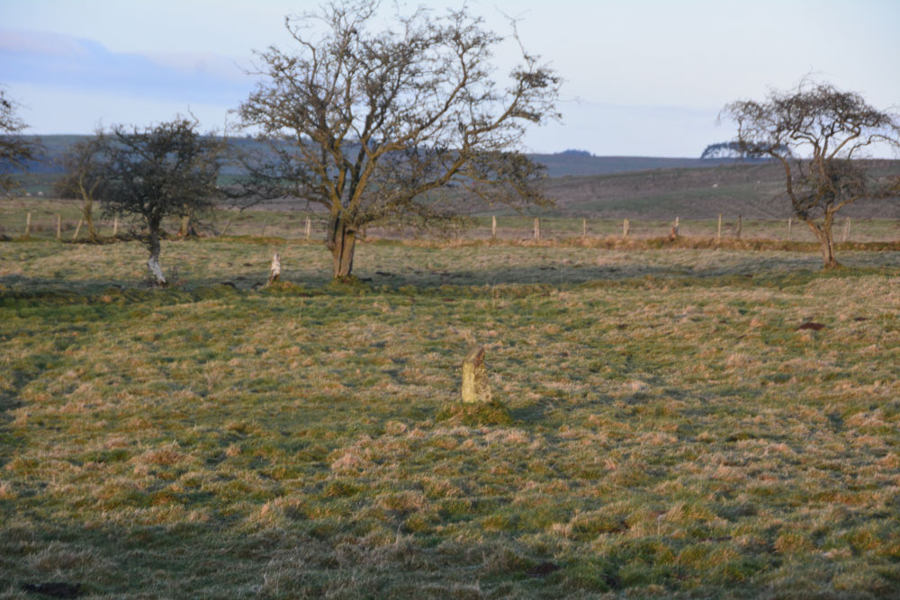 Click for the gallery page to add comments and vote (PID:176330) Piper Lane Standing Stone (Birtley)