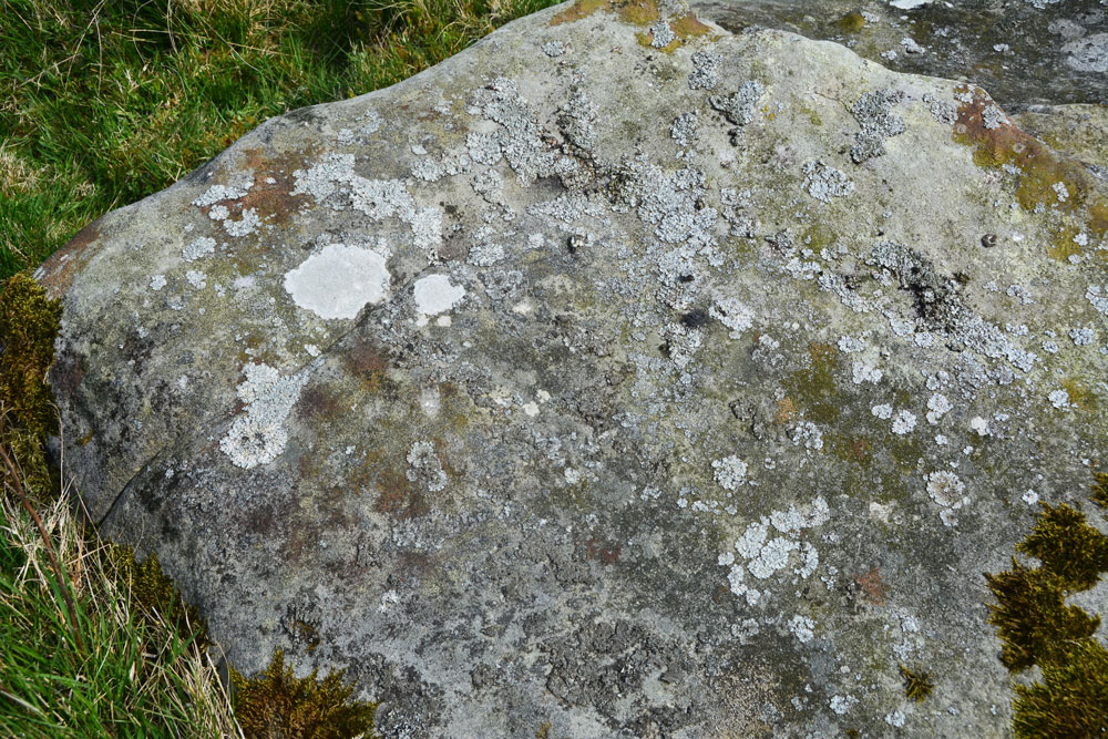 Click for the gallery page to add comments and vote (PID:181057) Millstone Burn 2e
