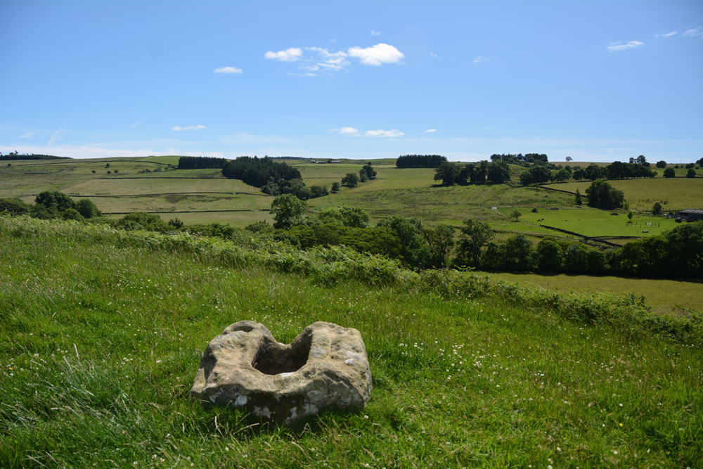 Click for the gallery page to add comments and vote (PID:167694) Woodburnhill (East Woodburn)
