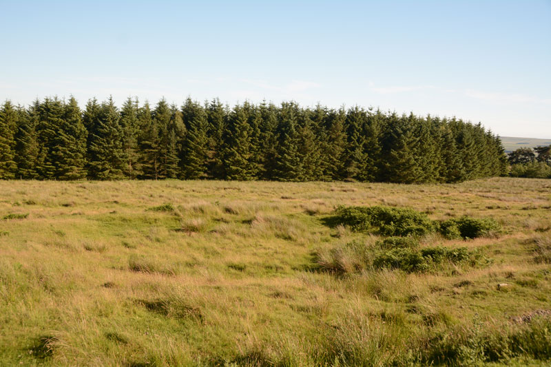 Click for the gallery page to add comments and vote (PID:167712) Yatesfield (Otterburn)