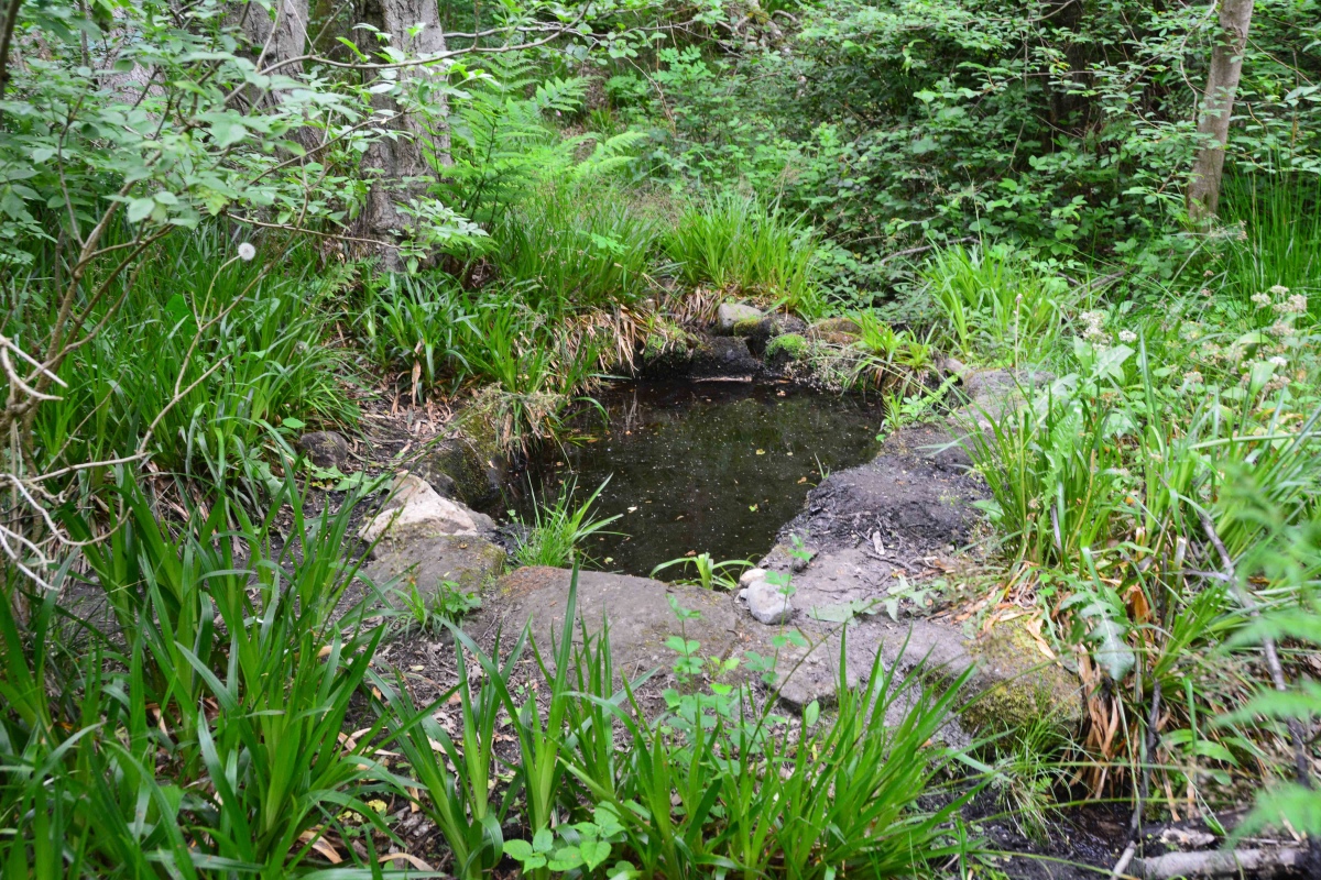 Click for the gallery page to add comments and vote (PID:228022) Eddybroth Well (Whittle Dene)