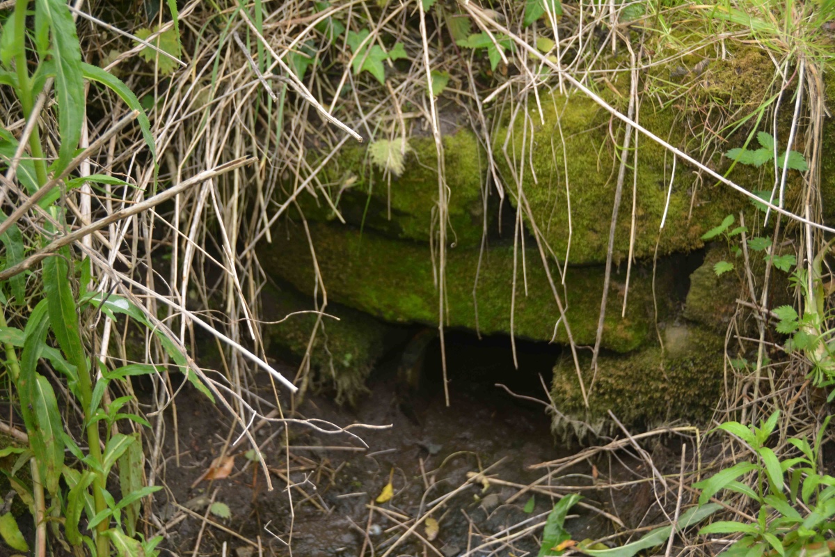 Click for the gallery page to add comments and vote (PID:228020) St Andrew's Well (Ovington)