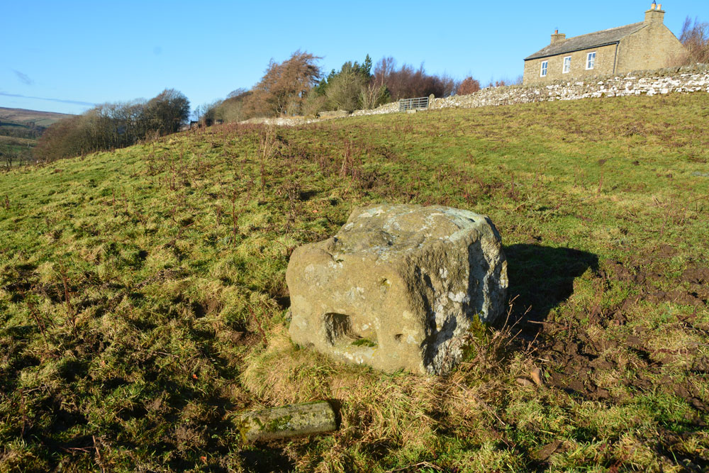 Limestone Brae (West Allen)