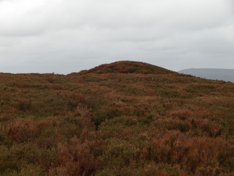 Click for the gallery page to add comments and vote (PID:108417) Cartington Hill Cairn 2
