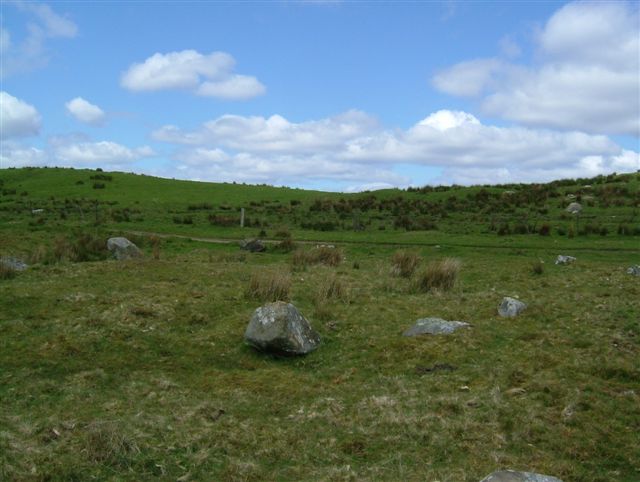 Ridley Common