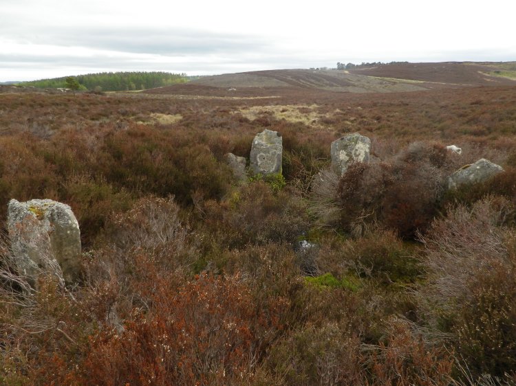 Click for the gallery page to add comments and vote (PID:108125) Debdon Farm (west) Cairn 2