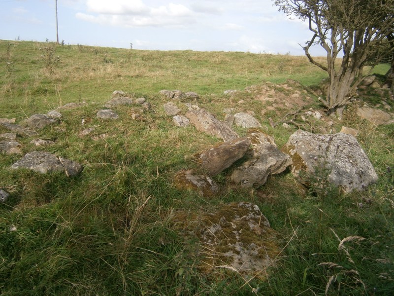 Horsley Hill Homestead