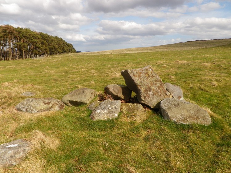 Click for the gallery page to add comments and vote (PID:106792) Old Bewick Cairn
