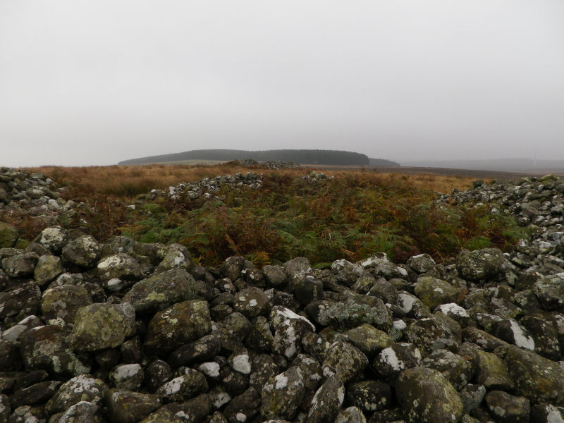 Rayheugh Moor Cairn (b)