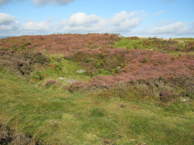 Lordenshaw Hillfort