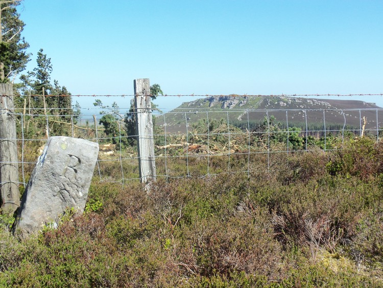 Click for full size image of Ravenshaugh Main Stone (PID:106923) Ravenshaugh Main Stone