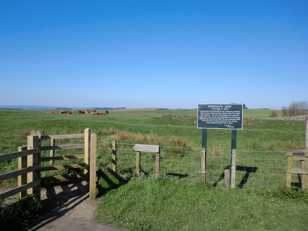Click for the gallery page to add comments and vote (PID:198902) Carrawburgh Roman Fort