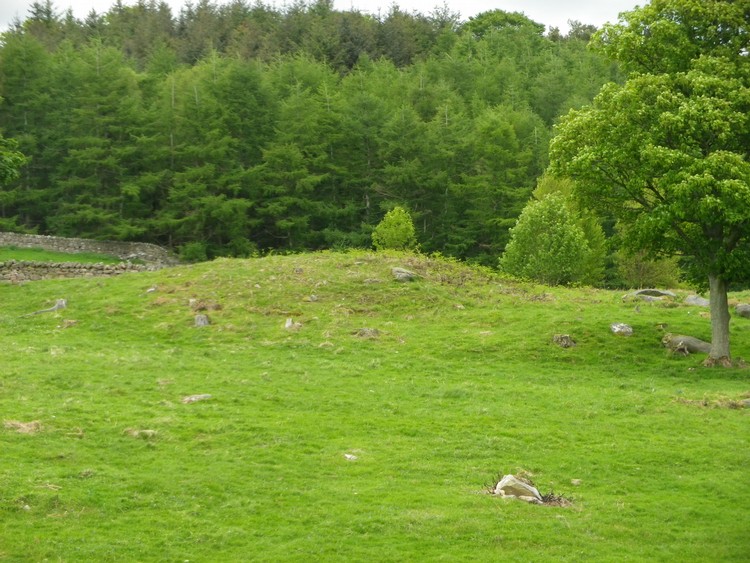 Click for the gallery page to add comments and vote (PID:108573) Westhills Farm Cairn