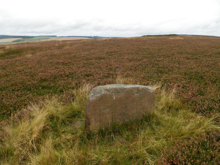 The red granite northern stone of Whinny Hill Circle.