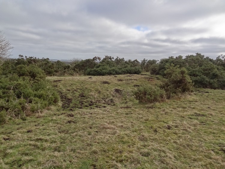 Bank in the western part of the enclosure on Alnwick Moor (photo taken on February 2013).