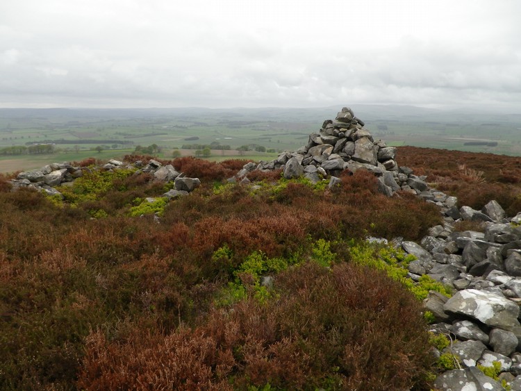 Click for the gallery page to add comments and vote (PID:108420) Cartington Hill Cairn 3