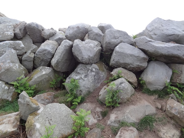 Chatton 12, Northumberland | Megalithic Portal