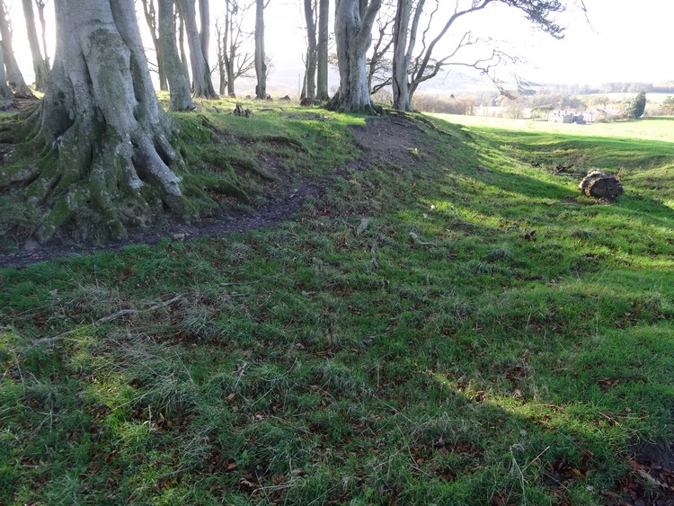 Chesters Camp