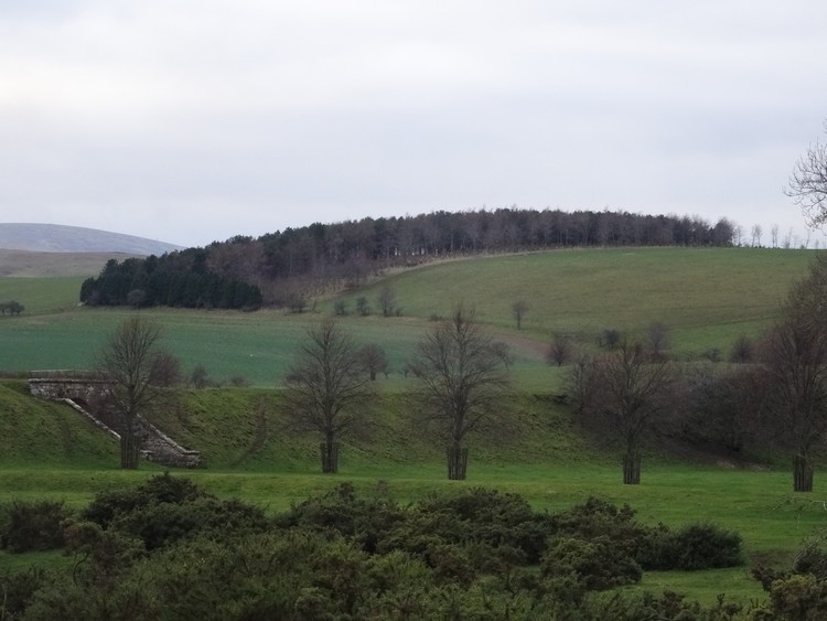 Foxes Knoll
