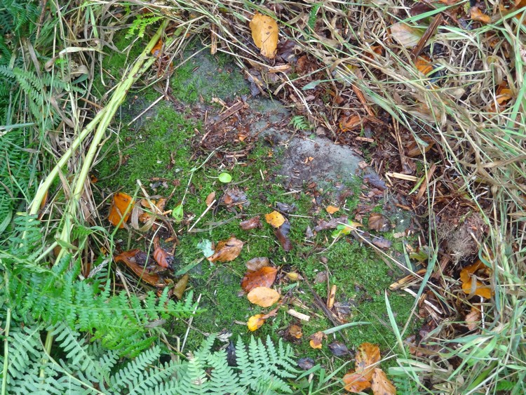 Fowberry Excavation Site 7 panel - general view (photo taken on October 2013).