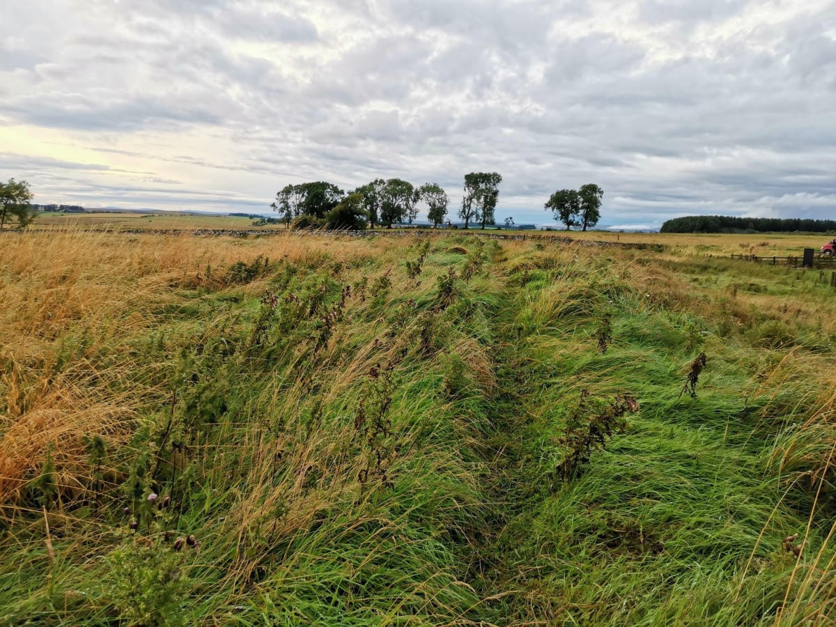 Carrawburgh Roman Fort