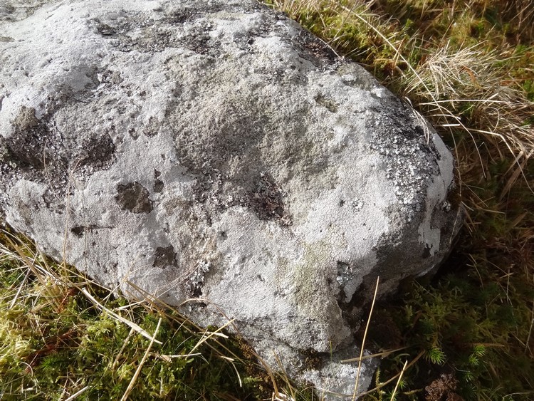 Hartleyburn Common 1e