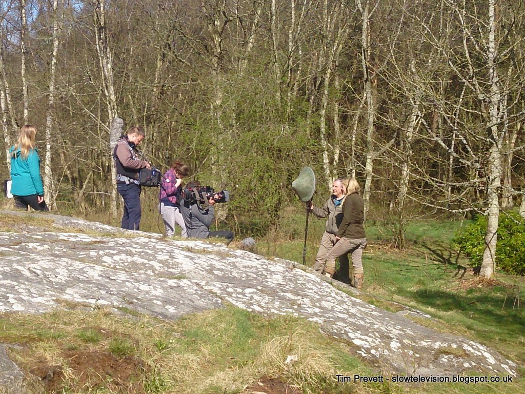 Roughting Linn Rock Art