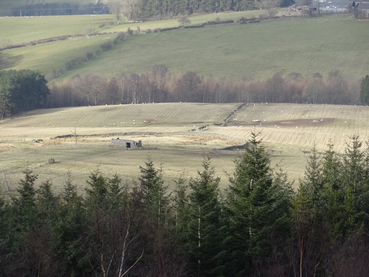 Lemmington Bank Camp seen from Lamp Hill (photo taken on February 2013).