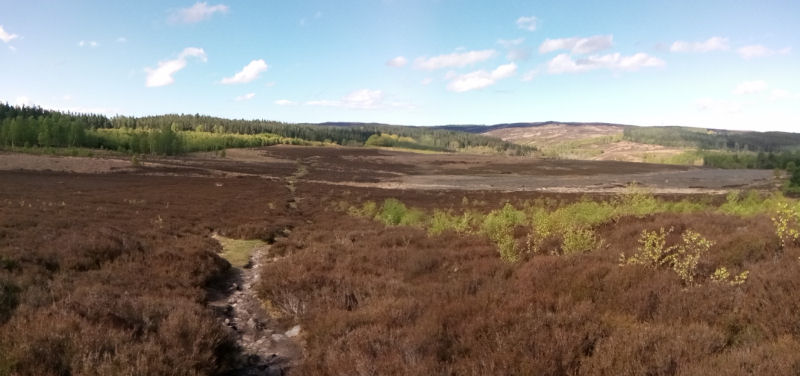 Click for the gallery page to add comments and vote (PID:197255) Debdon Cairnfield.