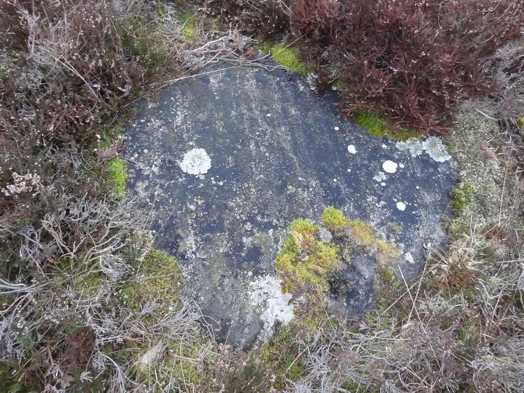 Lucker Moor 3